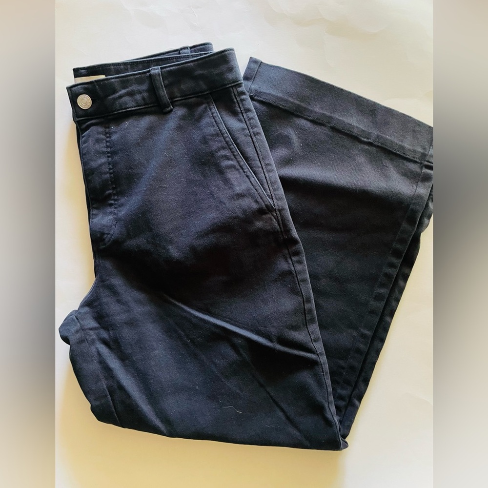 Everlane Black Wide Leg Pants